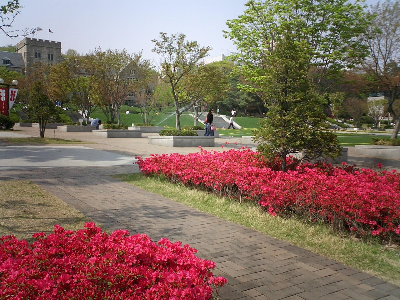 2006.04.25-14.27.53.JPG